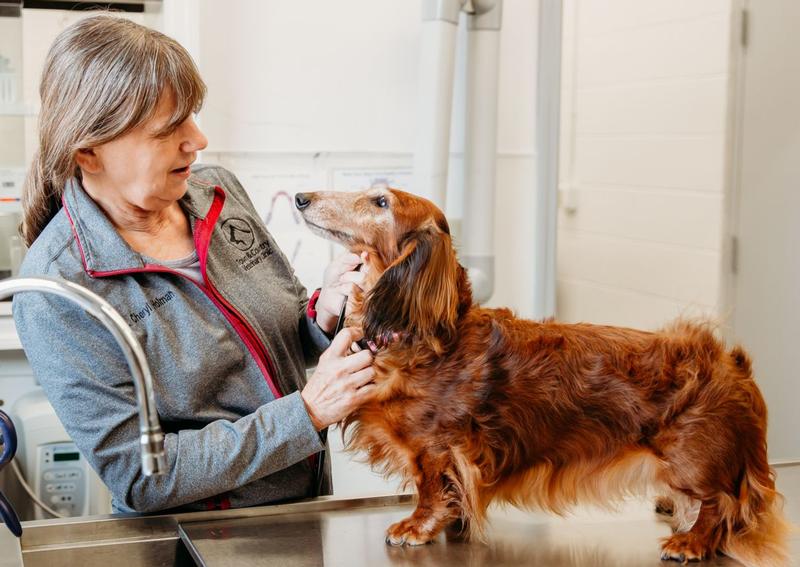 Town & Country Veterinary Clinic Eaton veterinarians